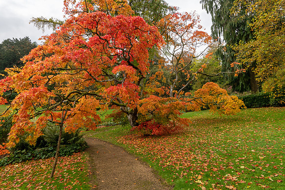 Sezincote -7