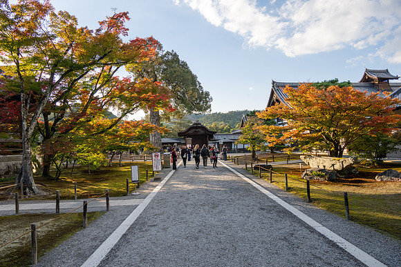 Golden Pavilion-1