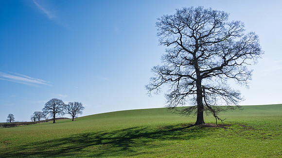 Kempley-12