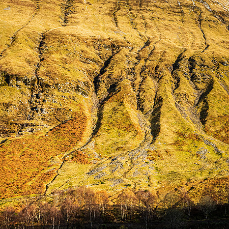 Bridge or Orchy -2