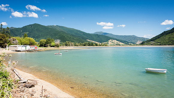Grove Arm -3