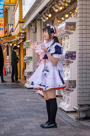 Maid Cafe Girl