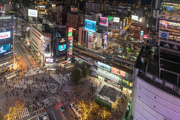 Scramble Crossing at Night Shibuya -1