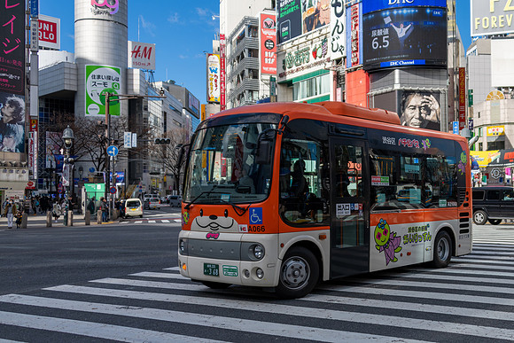Bus