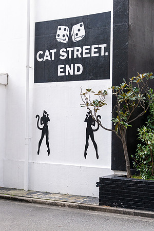 Cat Street -1