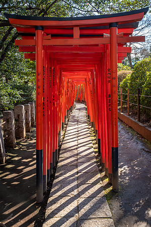 Nezu Shrine  -3