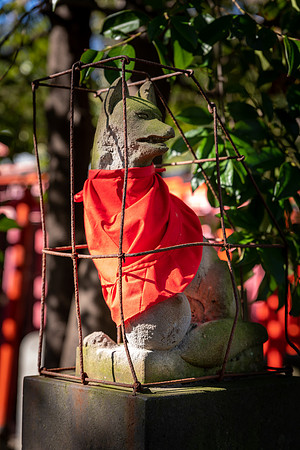 Nezu Shrine -4