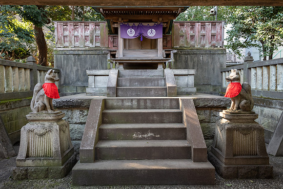 Nezu Shrine -5