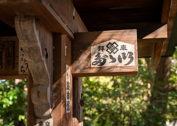 Nezu Shrine -6
