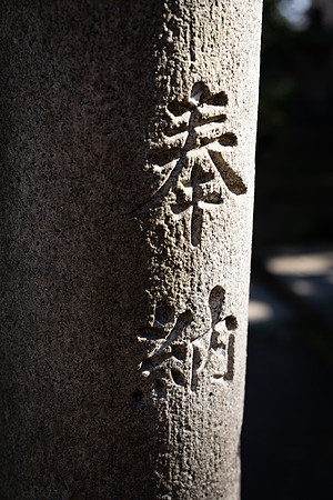 Nezu Shrine -7