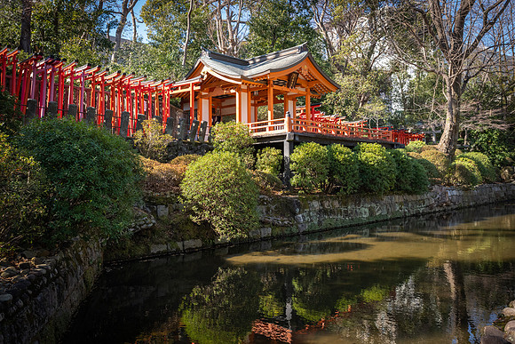 Nezu Shrine  -9