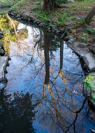 Koishikawa Korakuen Gardens -4