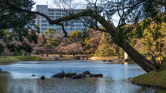 Koishikawa Korakuen Gardens -2