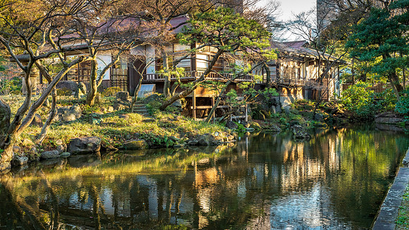 Koishikawa Korakuen Gardens -6