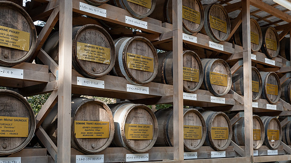 Meiji Shrine Wine Barrels