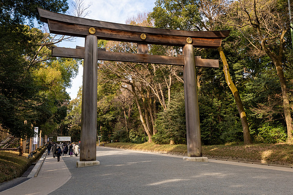 Meiji Shrine Second Torii Gate -1