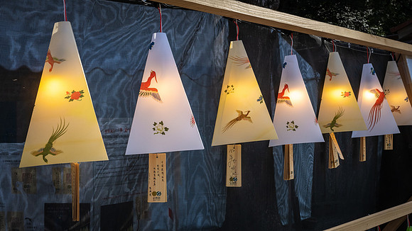 Meiji Shrine Lights -1