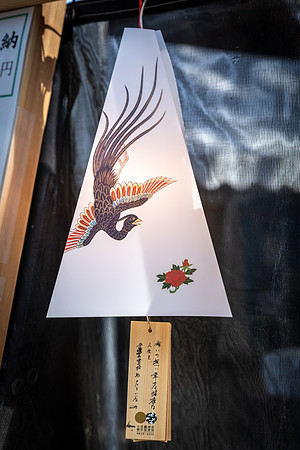 Meiji Shrine Lights -2