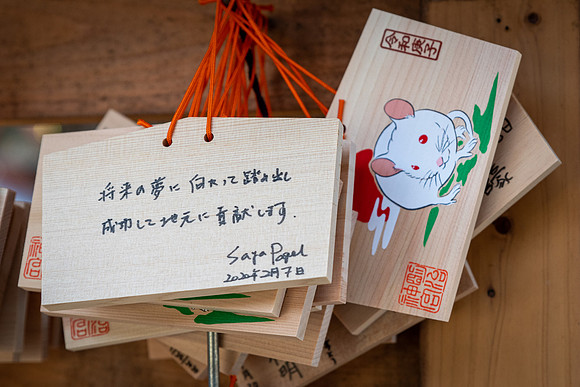 Meiji Shrine -4