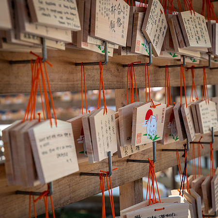 Meiji Shrine -5