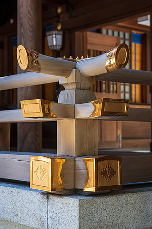 Meiji Shrine -7