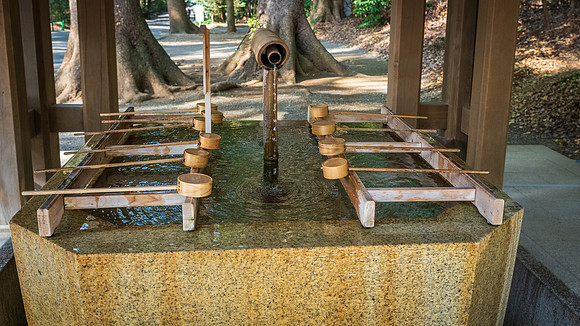 Meiji Shrine -12