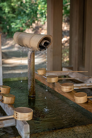 Meiji Shrine -13