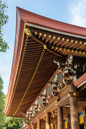 Meiji Shrine -11