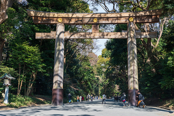 Meiji Shrine Outer Tori Gate