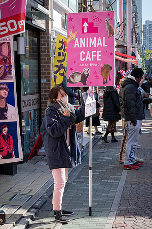 Takashita Street -6