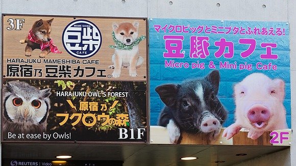 Takashita Street -7