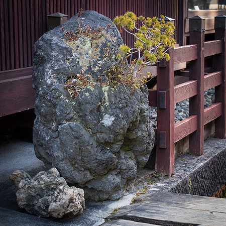 Takayama Old Town -21