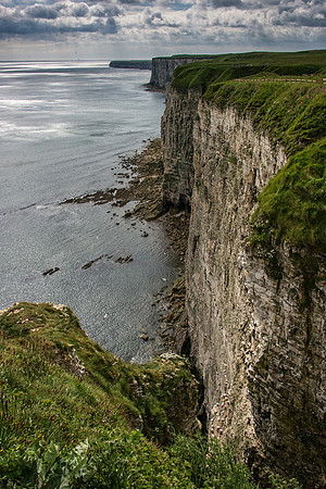 Bempton Cliffs on a Stormy Day