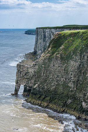 Bempton Cliffs on a Sunny Day