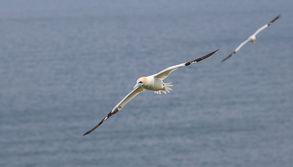 Approach Flight Path