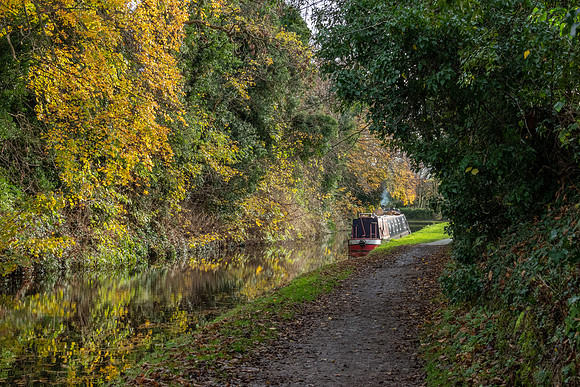 Stafforshire & Worcestershire Canal -2