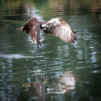 UK - Leicestershire