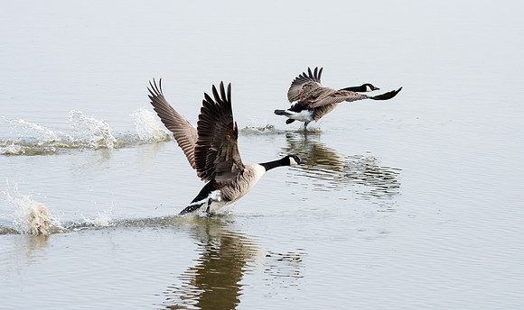 Clear for Takeoff