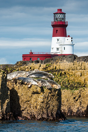 Farne Lighthouse