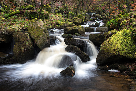 Padley Gorge -1