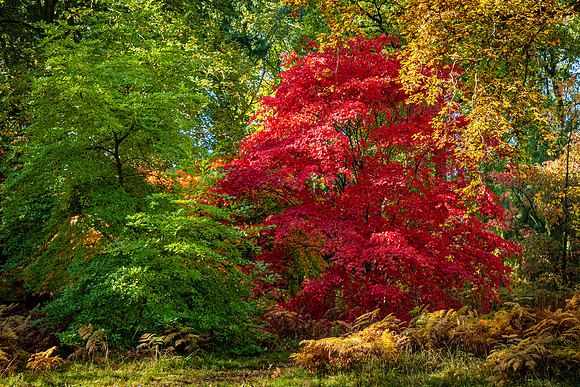 Queenswood-3