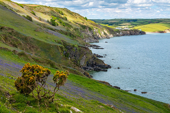 Hallsands from Start Point -3
