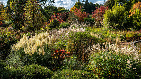 Knoll Gardens -15