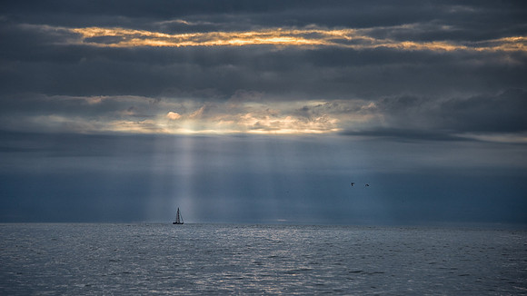 Early Morning Sail