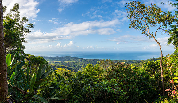 Pacific Views