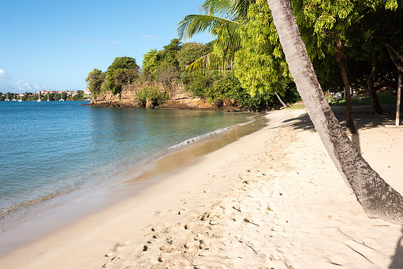Lance Aux Epines Beach -1