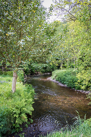 Blarney Castle Gardens -1