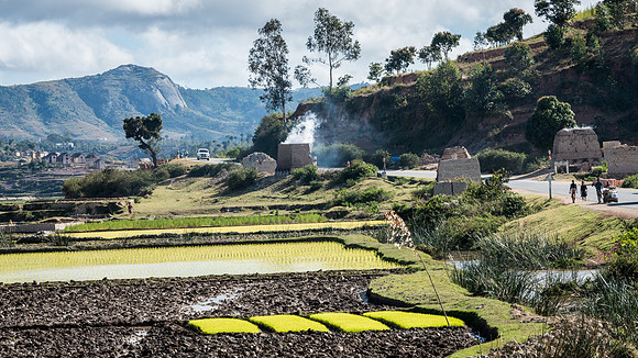 Rural Scene -2