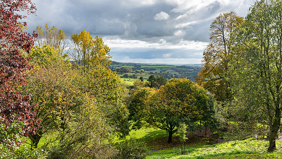 Shaftsbury towards Melbury