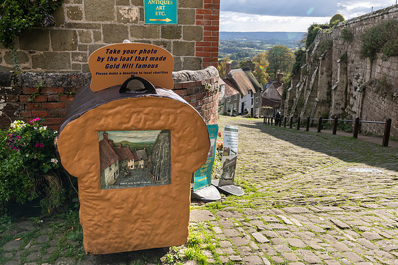 Gold Hill Shaftesbury -6